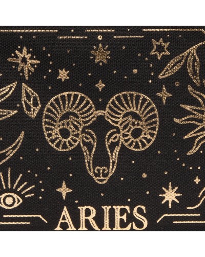 POCKET-ARIES__N C__2__20241114163435685.jpg_ORGA_HUB