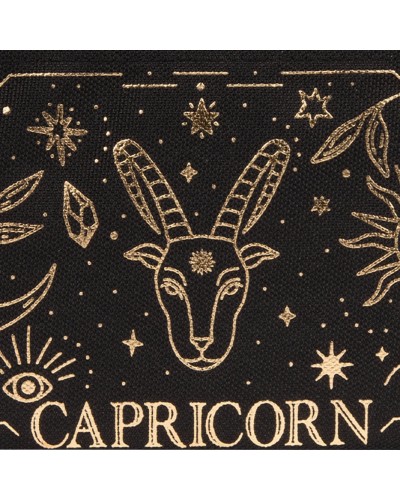 POCKET-CAPRICORN__N C__2__20241114163612663.jpg_ORGA_HUB