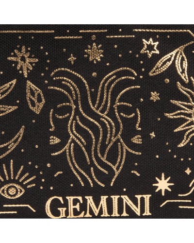 POCKET-GEMINI__N C__2__20241114163646715.jpg_ORGA_HUB