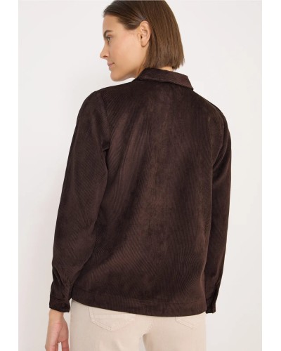 B346107__168 56 tartufo brown__2__20251017103014232.jpg_ORGA_HUB B346107__168 56 tartufo brown__2__20251017103014232.jpg_ORGA_HUB