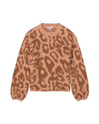 J50041__287 0  BROWN__3__20251002140132243.jpg_ORGA_HUB