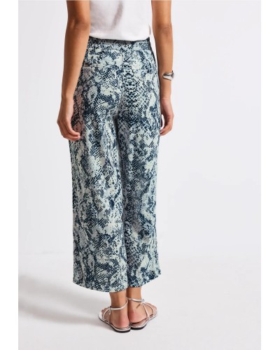 A379189__370 20 arona blue__2__20250912103528190.jpg_ORGA_HUB