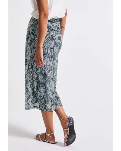 A361784__370 20 arona blue__2__20250718154605248.jpg_ORGA_HUB