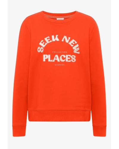 B303779__27395 cherry tomato or__3__20260205120150972.jpg_ORGA_HUB