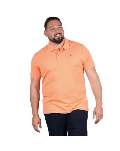 00PH0007170__MANDARINE__1__20260211170905100.jpg_ORGA_HUB