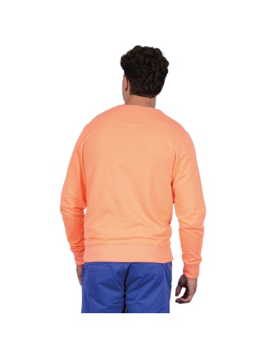 26EH0007446__Orange vif__2__20260212104625658.jpg_ORGA_HUB