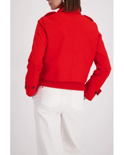 410321__chilli pepper__2__20260212113854636.jpg_ORGA_HUB