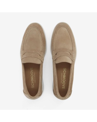 SMYA__camel__3__20260218164847138.jpg_ORGA_HUB