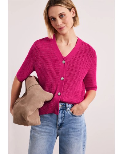 A254139__17281 magenta dream__1__20260408095413499.jpg_ORGA_HUB