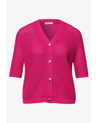 A254139__17281 magenta dream__3__20260408095421578.jpg_ORGA_HUB