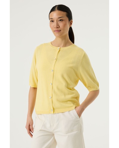 Q260051__403 8  YELLOW__1__20260416164754929.jpg_ORGA_HUB